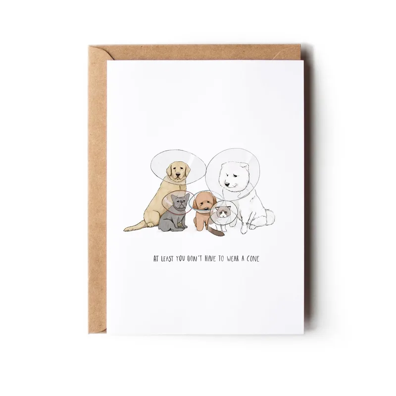 Get Well Pets Card: Four Pets in Cones, One Cheeky Line
