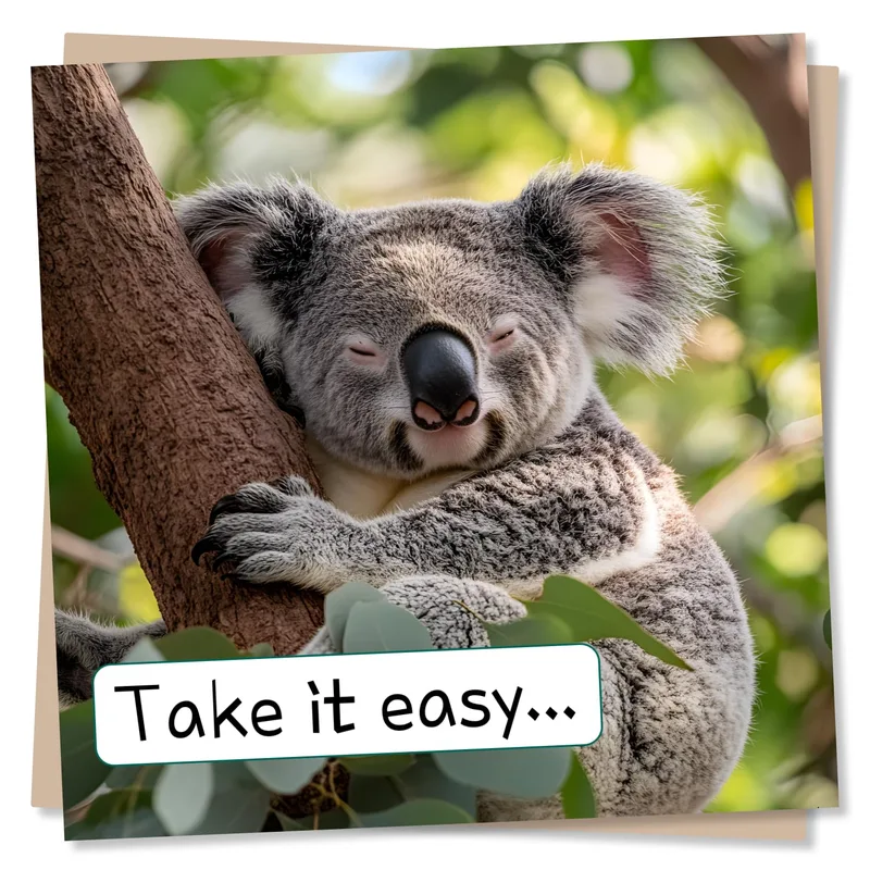 Sleepy Koala Card for Anyone Who Needs to Rest
