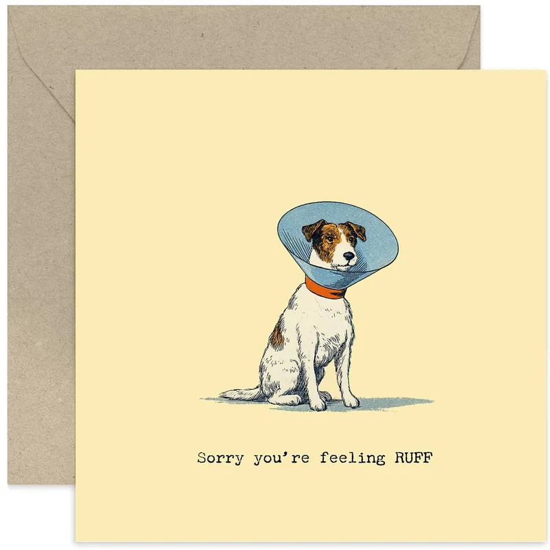 Dog in Cone Card for a Funny Get Well Soon Message