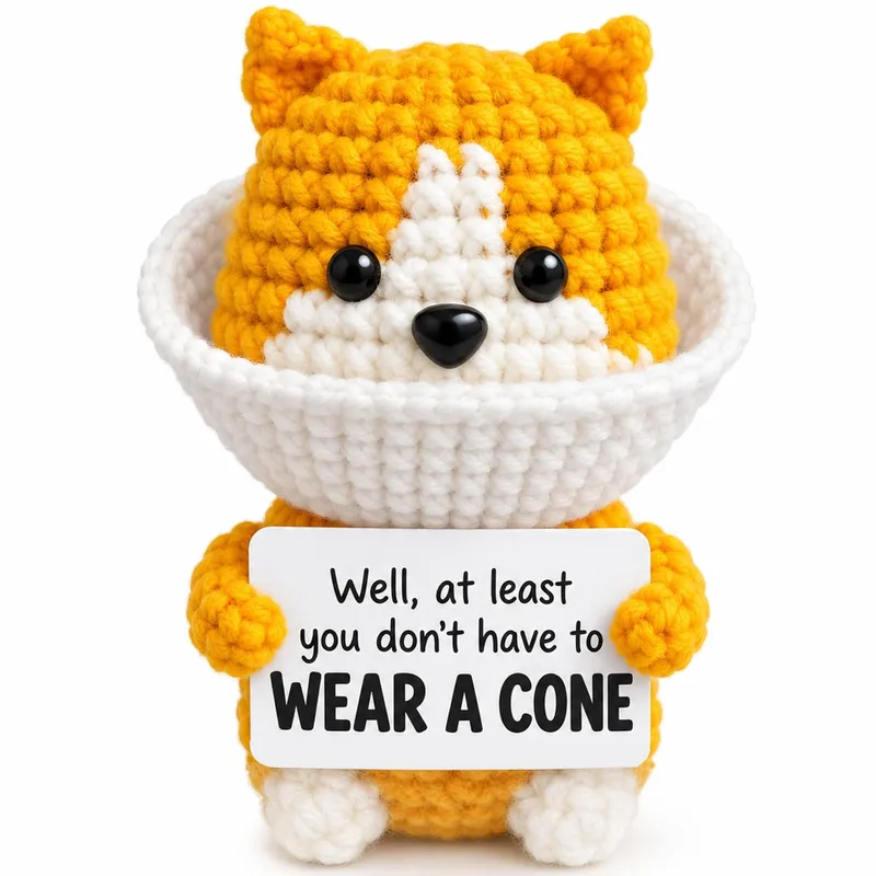 Dog White Bowl Get Well Card for Surgery Recovery Humor