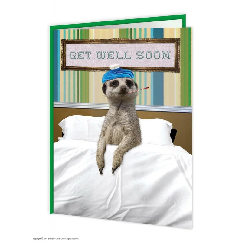 Meerkat Bed Get Well Card for a Funny Recovery Wish
